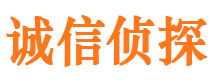 宁都市侦探公司